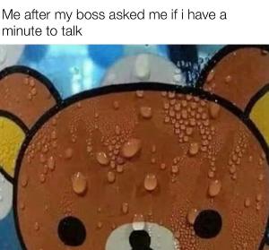 BOSSBEAR
