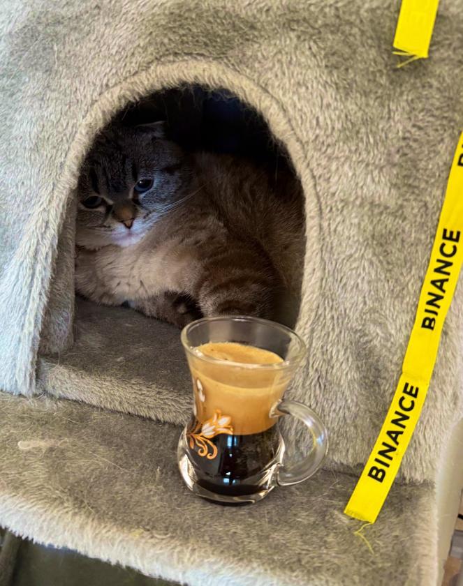 COFFEECAT