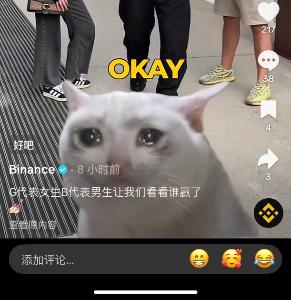 Crying Cat