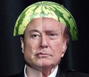 MELONX2