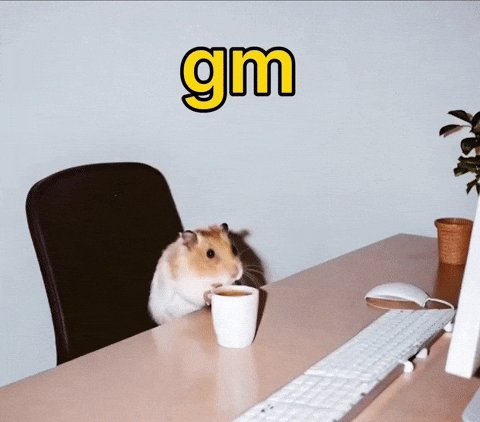 仓鼠