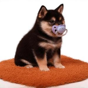 BabyTotakeke