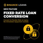 LOANS