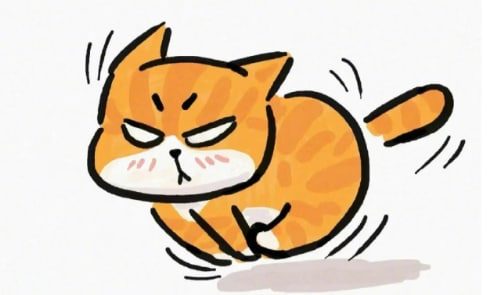 你们都是黑马，我是橘猫