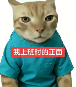 上班时的正面