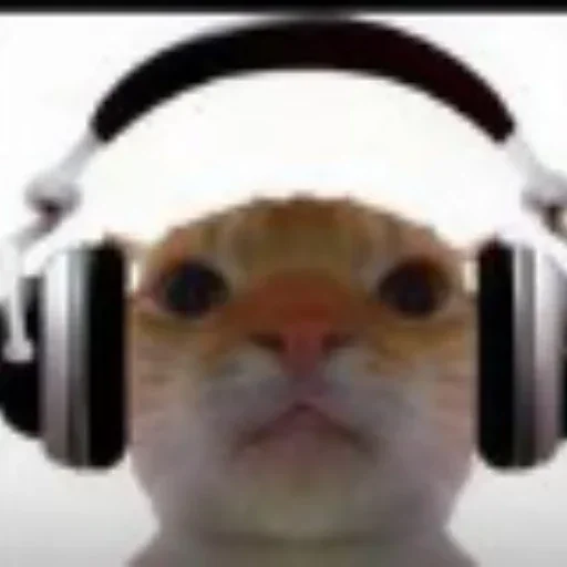 耳机小猫
