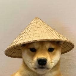 Dog Wif Hat