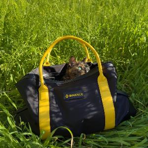 BINANCE CAT