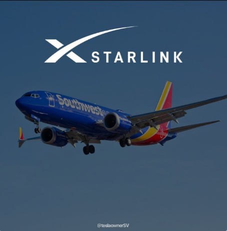 X Starlink 曲线进度达 91%，持有人 120，临近毕业