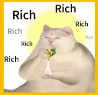 RICHCAT