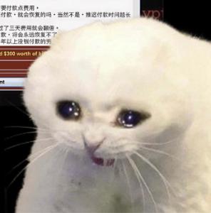 哭泣的猫