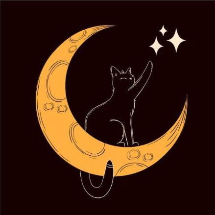 MOON CAT