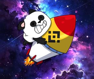 BINPANDA