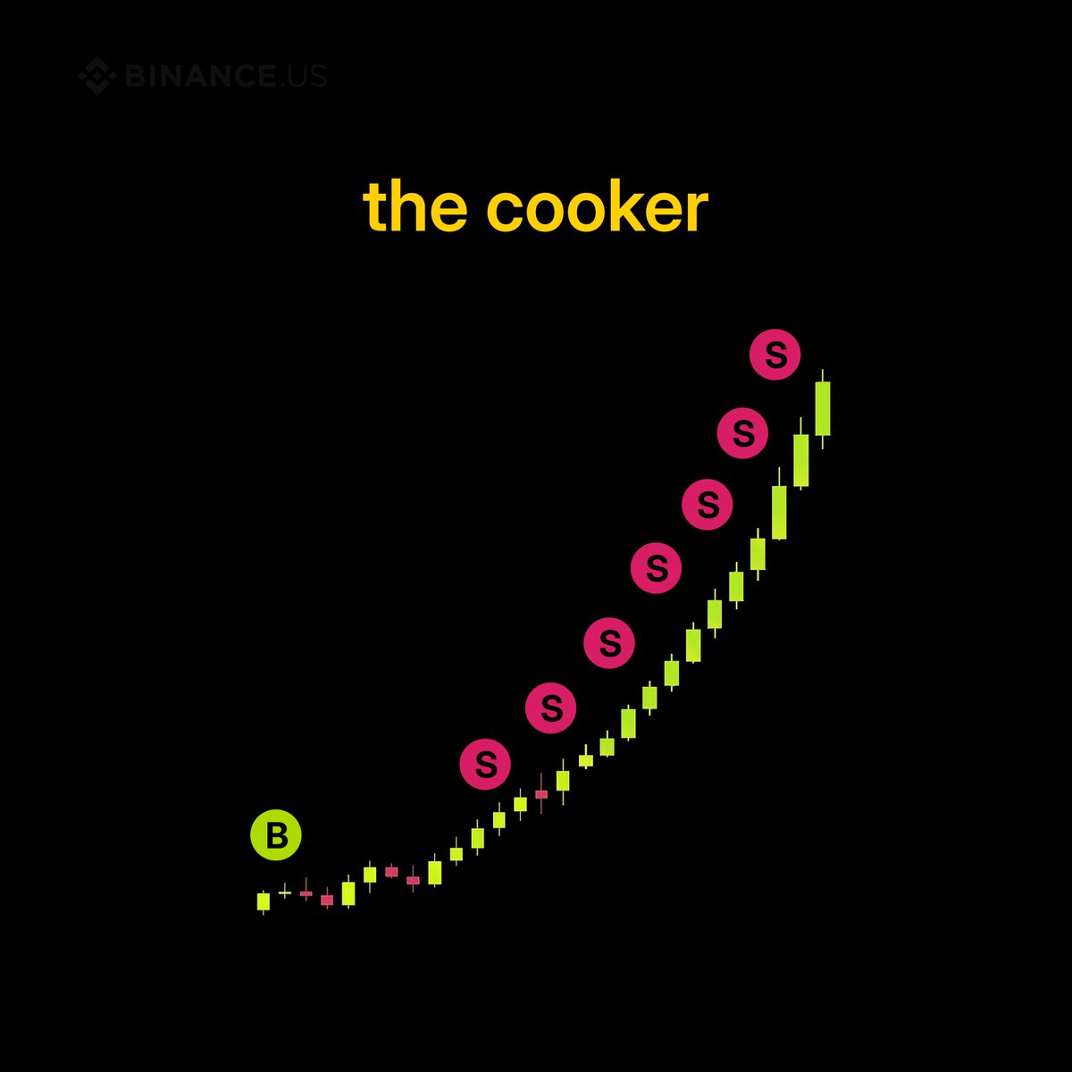 THE COOKER