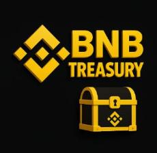 BNB TREASURY