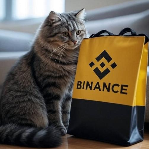 BINANCE CAT