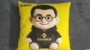 毛茸茸的CZ枕头