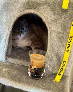 咖啡猫