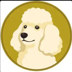 POODLE