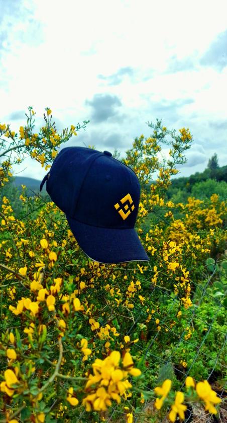BINANCE CAP