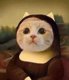 MONA MEOW