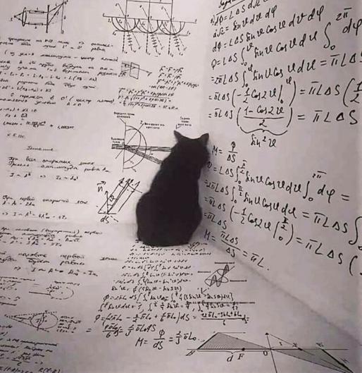 MATHCAT