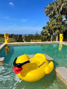 BINANCE DUCK